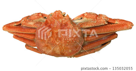 Snow crab 135032055