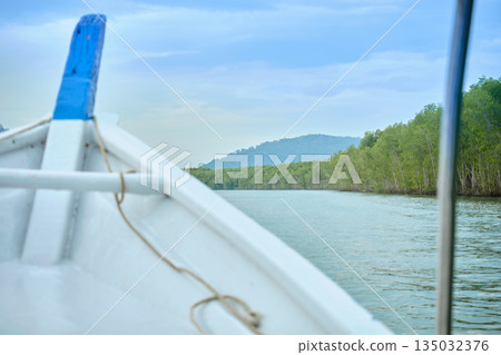 Mangrove forest tour in Kilim Geopark on Langkawi Island by motor boat. Mangrove forest tour in Kilim Geopark on Langkawi Island by motor boat. 135032376