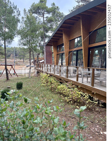 modern wooden building in a pine park. High quality photo modern wooden building in a pine park. High quality photo 135032437