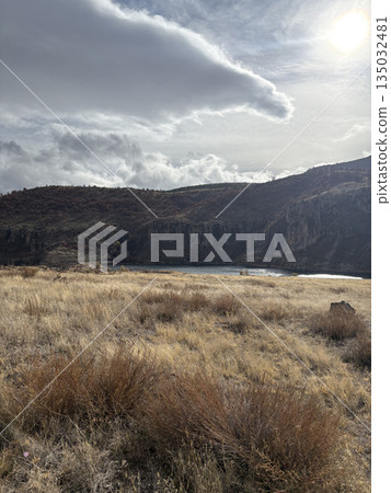 Rocky landscape thistles. High quality photo Rocky landscape thistles. High quality photo 135032481