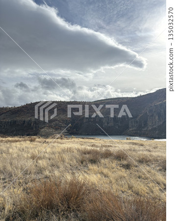 Rocky landscape thistles. High quality photo Rocky landscape thistles. High quality photo 135032570