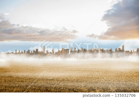 Large city on the horizon past yellow field 135032706