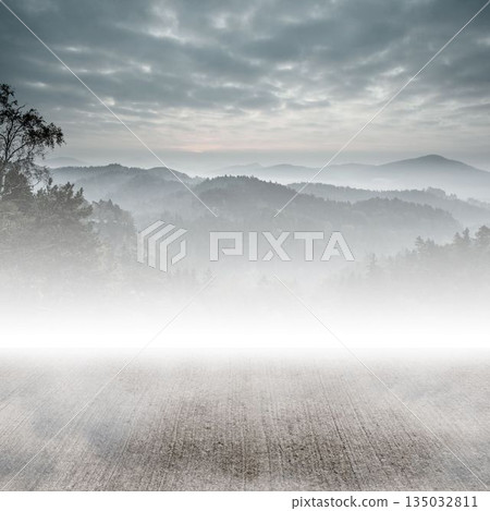 Misty mountain valley is showing flat vector platform, conifer hills, mist layers, cloudy sky Misty mountain valley is showing flat vector platform, conifer hills, mist layers, cloudy sky 135032811