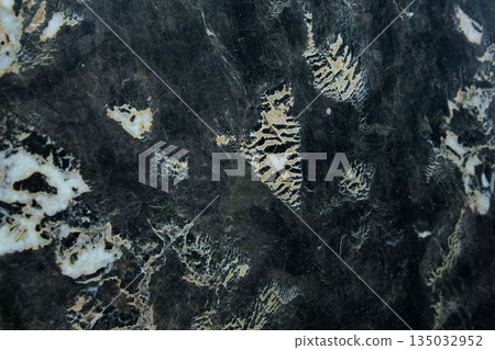 Modern marble surface, Close-up 135032952