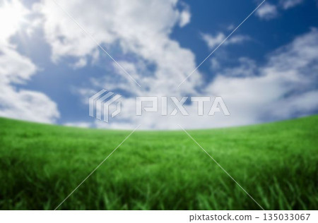 Tranquil shot of grassy land 135033067