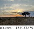 Savanna sky 135033279