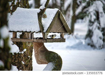 Winter Scene With Snow Covered Bird Feeder and Small Bird on Mossy Post Winter Scene With Snow Covered Bird Feeder and Small Bird on Mossy Post 135033776