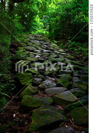 Fifty-three Stations of the Tokaido: Hakone-juku and the stone pavement of Hakone Pass Fifty-three Stations of the Tokaido: Hakone-juku and the stone pavement of Hakone Pass 135033928