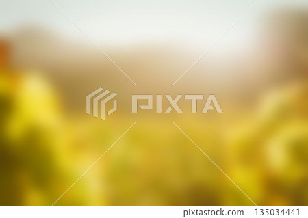 Blurry of autumn trees on a sunny day Blurry of autumn trees on a sunny day 135034441