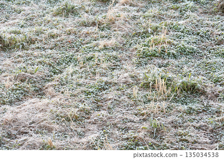 霜，霜 135034538