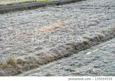 Frost, frost 135034550