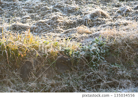 霜，霜 135034556