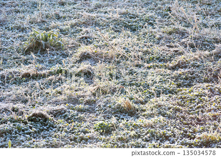 霜，霜 135034578