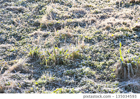 Frost, frost Frost, frost 135034593
