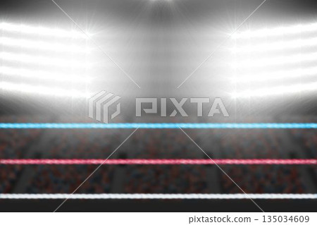 Focus on foreground of ropes in a boxing ring Focus on foreground of ropes in a boxing ring 135034609