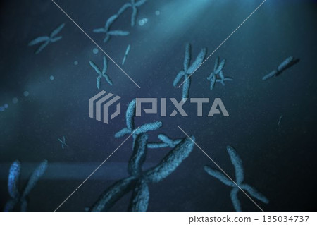 cluster of X-shaped chromosome structures is being shown within dark bluish fluid in 3D render cluster of X-shaped chromosome structures is being shown within dark bluish fluid in 3D render 135034737
