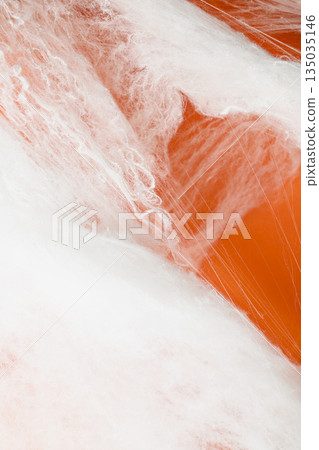 Spooky Halloween decoration with white cobweb on an orange background. Mockup, copy space, or template. Perfect for creating a festive atmosphere for Halloween parties or spooky projects Spooky Halloween decoration with white cobweb on an orange background. Mockup, copy space, or template. Perfect for creating a festive atmosphere for Halloween parties or spooky projects 135035146