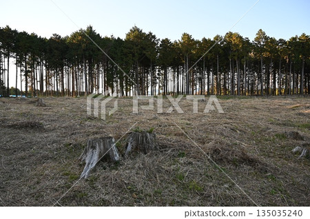 諏訪原城遺址，第二城牆，島田市 135035240