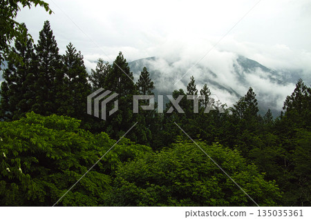 Mountains shrouded in mist and clouds and deep green forests 135035361