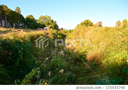 諏訪原城遺址、外護城河、島田市 諏訪原城遺址、外護城河、島田市 135035740