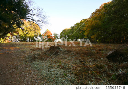 諏訪原城遺址，第二城牆，島田市 135035746