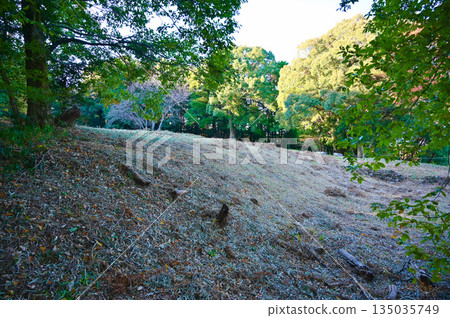 Suwahara Castle Ruins, Main Bailey, Shimada City 135035749