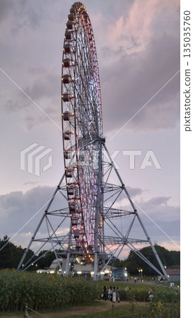 Diamond and Flower Ferris Wheel in Kasai Rinkai Park Diamond and Flower Ferris Wheel in Kasai Rinkai Park 135035760