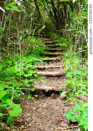 Fifty-three Stations of the Tokaido: Hakone-juku Uphill Fifty-three Stations of the Tokaido: Hakone-juku Uphill 135036280