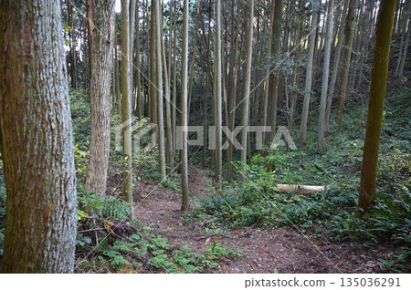 Suwahara Castle Ruins, Earthworks, Shimada 135036291