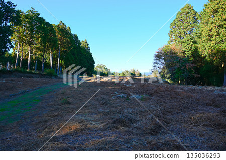 Suwahara Castle Ruins, Second Bailey, Shimada City Suwahara Castle Ruins, Second Bailey, Shimada City 135036293