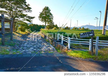 島田市，沿古東海道菊川坡的石板路 135036296
