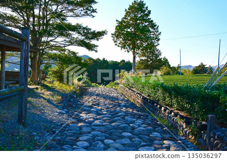 島田市,沿古東海道菊川坡的石板路 島田市,沿古東海道菊川坡的石板路 135036297