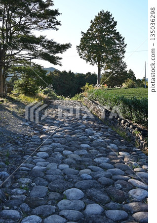 島田市,沿古東海道菊川坡的石板路 島田市,沿古東海道菊川坡的石板路 135036298