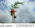 Colorful Cloth Wrapped Steel Rod with Coconut and Banana Plant Used in Traditional Blessing Ceremony 135036355