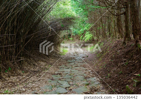 東海道五十三站、箱根旅館、三島石板路 135036442