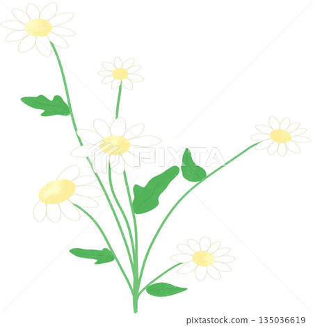 Cute spring pastel 135036619