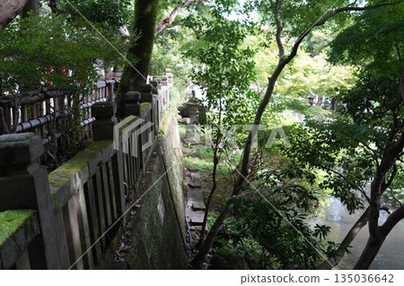 Shikedera Shikedera 135036642