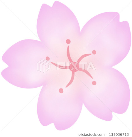 Cute spring pastel Cute spring pastel 135036713