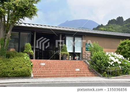 Hakone Town: Italian restaurant Lake Ashi Terrace and hydrangeas 135036856