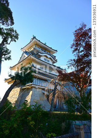 Oyama Castle Tower Yoshida Town 135036911