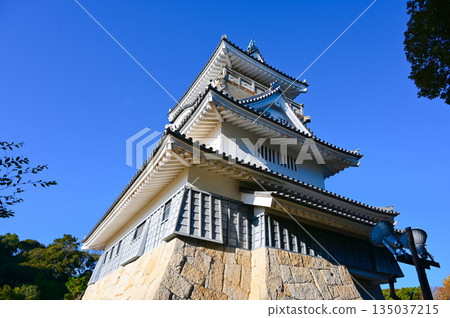 Oyama Castle Yoshida Town 135037215