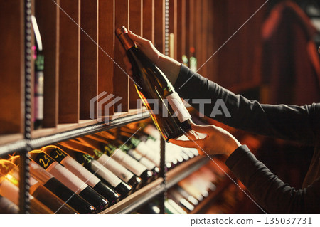 Selecting Wine Bottle in Wooden Rack Selecting Wine Bottle in Wooden Rack 135037731