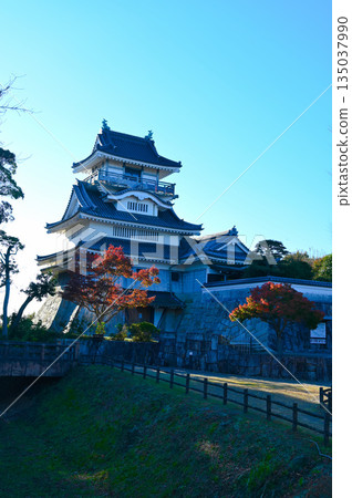 大山城、野滿寺山公園、吉田町 大山城、野滿寺山公園、吉田町 135037990