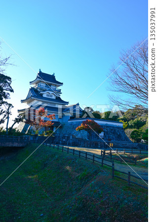Oyama Castle, Nomanjiyama Park, Yoshida Town 135037991