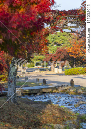 京都圓山公園的秋季日式庭園 135038043