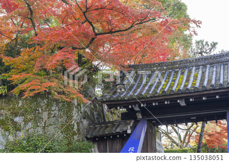 京都圓山公園的秋景：大穀草生寺北門被秋葉裝飾。 135038051