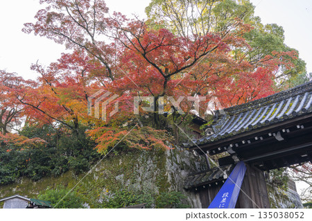 京都圓山公園的秋景：大穀草生寺北門被秋葉裝飾。 135038052