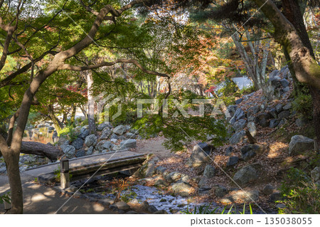 Autumn Japanese Garden at Maruyama Park, Kyoto Autumn Japanese Garden at Maruyama Park, Kyoto 135038055