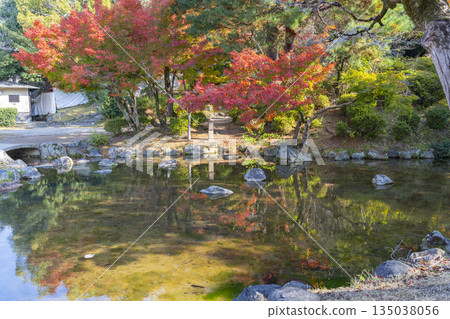 Autumn Japanese Garden at Maruyama Park, Kyoto 135038056