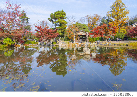 Autumn Japanese Garden at Maruyama Park, Kyoto 135038063